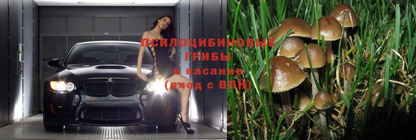 ешки Касимов