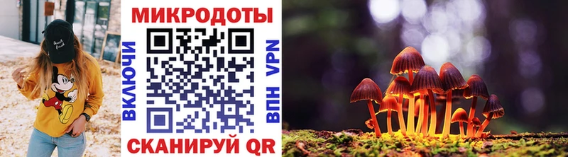 Галлюциногенные грибы прущие грибы как найти Кимовск